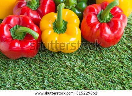 image of sweet peppers on green grass background.