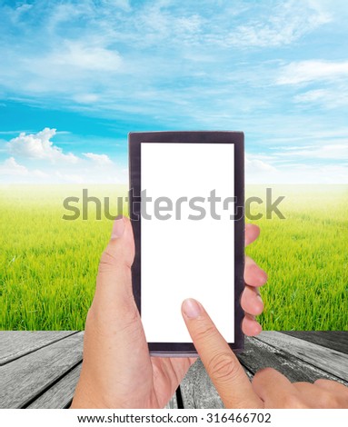male hand is holding a modern touch screen phone and rice field and clear blue sky for background usage .