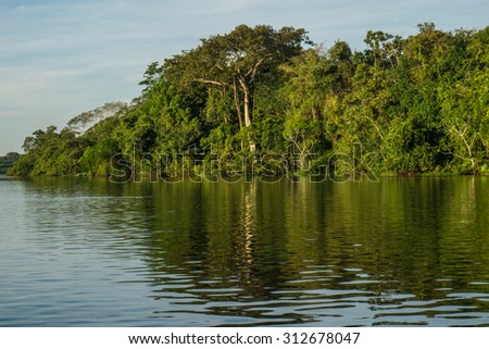 Landscape amazon rain forest