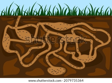 Ant family moving in tunnels anthill. Home of insects which life into earth. Vector cartoon close-up illustration. Teamwork concept. Vector illustration.