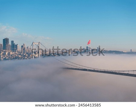 Similar – Image, Stock Photo Seagulls in the fog Autumn