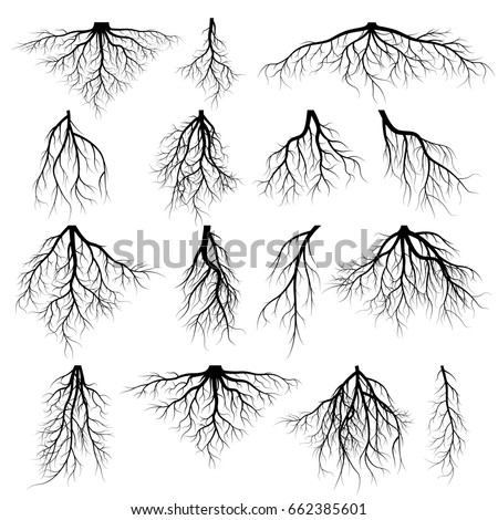 Tree And Roots Drawing | Free download on ClipArtMag