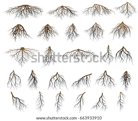 Set of tree roots. silhouette vector Illustration.