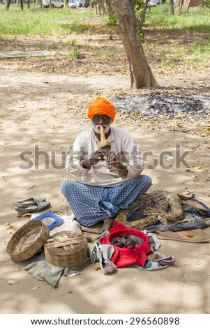AGRA, INDIA - April 2, 2015: Unidentified Indian snake charmer with a black cobra in basket and a python by his side at Fatehpur, India. Snake charmers attract tourists visiting the historical sites.