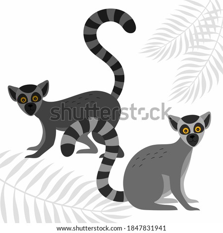 A poster with the lemurs and the silhouettes of the leaves of palm trees. Vector illustration