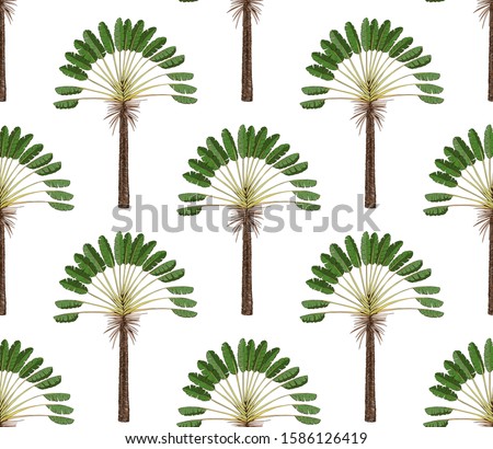 Seamless pattern with palm trees on white background. Simple vector ornament.