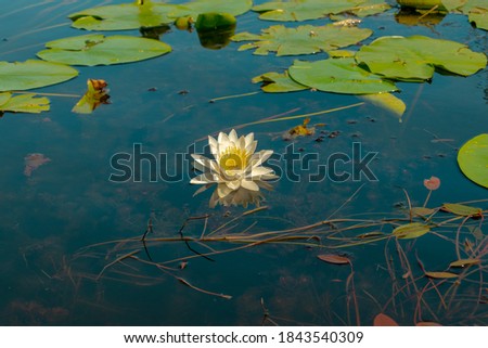 Shutterstock Puzzlepix