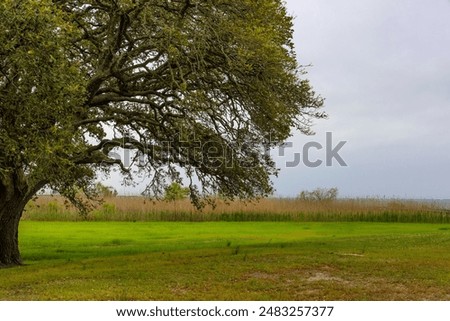 Similar – Image, Stock Photo Spring day along outer edges of the bay of water