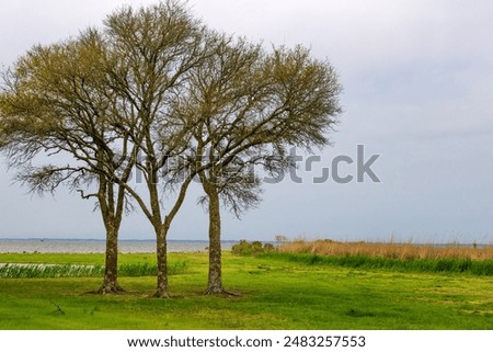 Similar – Image, Stock Photo Spring day along outer edges of the bay of water