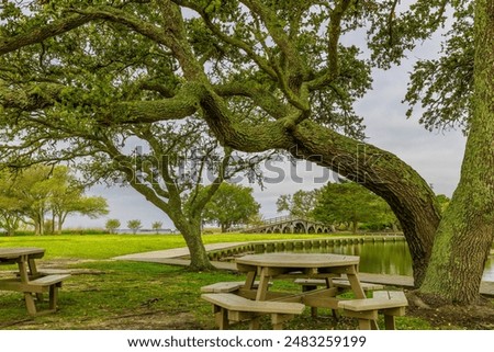 Similar – Image, Stock Photo Spring day along outer edges of the bay of water