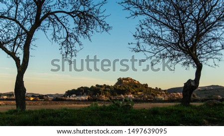 Shutterstock Puzzlepix