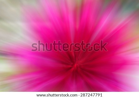 abstract  zoom line pink color background