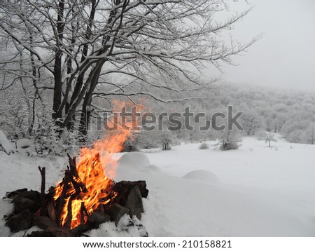 Big Fire In The Snowy Winter Forest