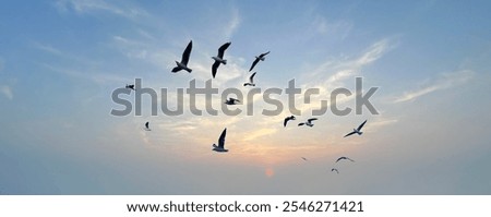 Similar – Image, Stock Photo flocked birds