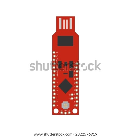 Vector Illustration: A visual representation of the BadgerStick, a compact and versatile development board designed for rapid prototyping