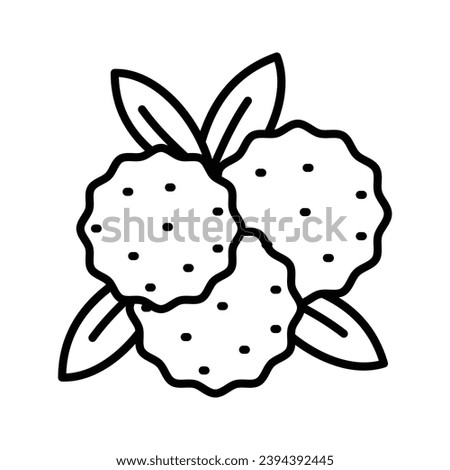 Bayberry vector design in modern design style, Myrica, yangmei, candleberry, sweet gale, or wax myrtle berry icon