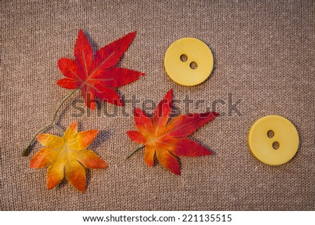 leaves  red autumn on a brown knitted background and yellow buttons
