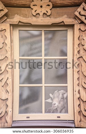 goat eating hay wooden window farm village soft focus