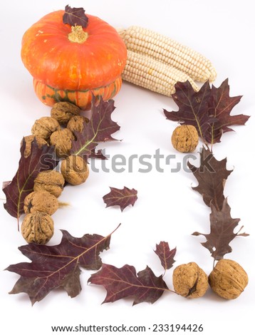 autumn composition on white background, pumpkin leaves corn nuts
