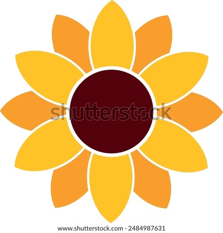 Yellow sunflower vector illustration. Sunflower drawing