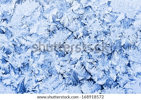 Beautiful pattern of frost on  winter window