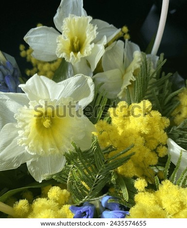 Similar – Image, Stock Photo flowers Shopping Trade