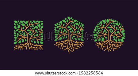 Set of shaped tree root logo icon