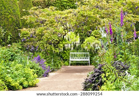 White bench at the end of sandy path under white and blue wisteria, surrounded by colourful cottage flowers and herbs on a summer day after rain, romantic settings