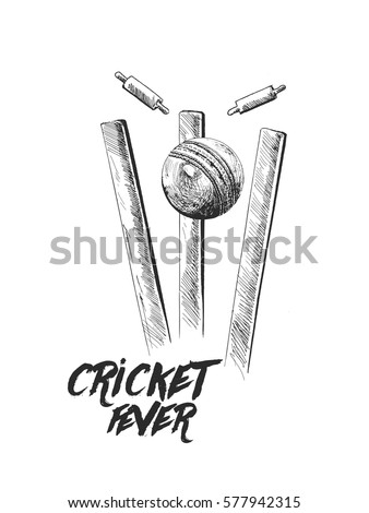 Cricket ball hitting bowling over wicket freehand sketch graphic design, vector illustration 