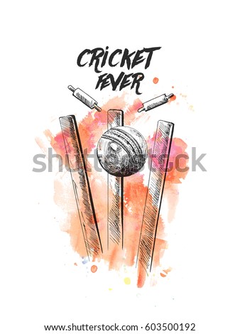 Cricket ball hitting bowling over wicket freehand sketch graphic design, vector illustration 