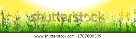 Meadow with flowers and sun. Morning day. Flowering grass. Grassy landscape. Vector background. Horizontal view of spring summer forbs. Green yellow paysage. Plants, Herbs. Bright beautiful scenery.