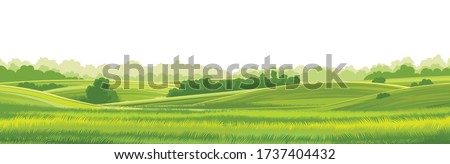 Rural hills  landscape vector background on white. Pasture grass for cows. Meadows and trees. Horizon.