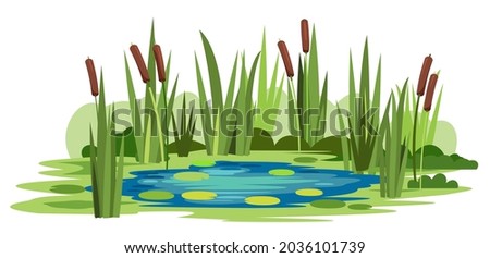 Similar – Image, Stock Photo Cattail at the pond in the evening light.very nice colors.