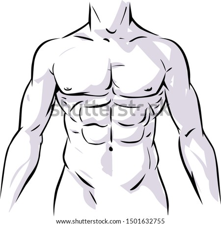 Drawing illustration of male torso. Vector illustration