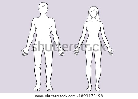 Drawing illustration of male and female body. Vector illustration