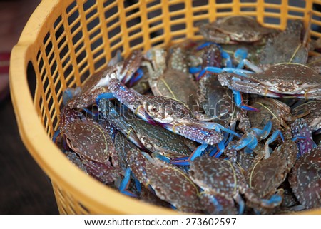 Traditional asian fish market stall full of famous cambodian blue crabs