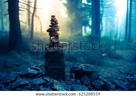 Similar – Image, Stock Photo winter dream Winter Forest