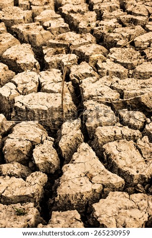 Dry soil in arid areas.