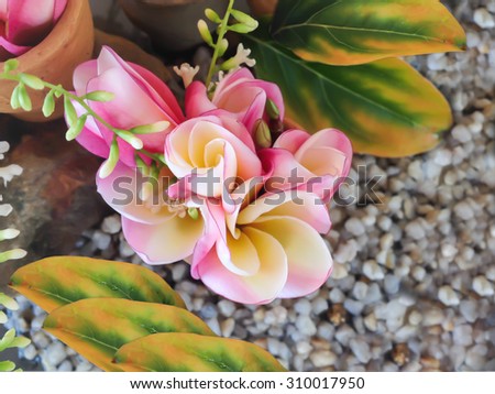 mini beautiful bouquet of fresh young pink flower plumeria lovely decorated in mini vessel on black background