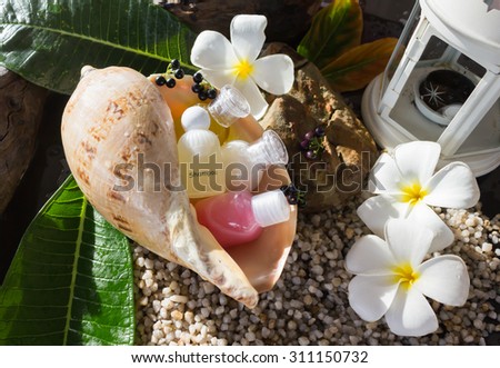 mini set of bubble bath shower and natural harmony boutique style background decorated with flowers plumeria and conch additional feeling of sea and beach island or aroma spa