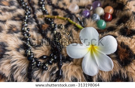 white flower plumeria and background of boutique accessory