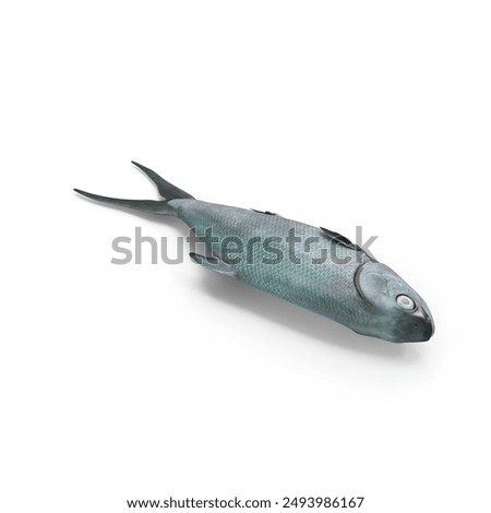 Similar – Image, Stock Photo Dead fish on the beach