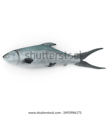 Similar – Image, Stock Photo Dead fish on the beach