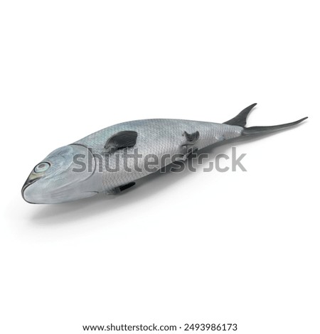 Similar – Image, Stock Photo Dead fish on the beach