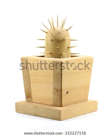 wooden cactus on a white background