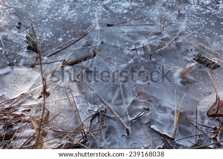 grass under ice