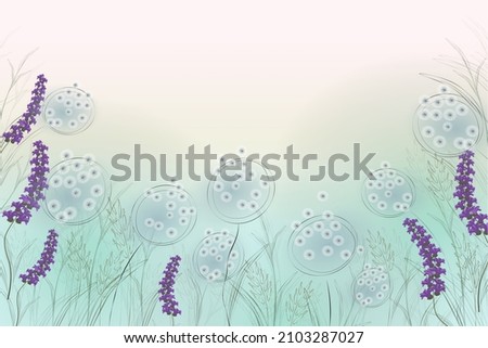 Line Art Botanical Illustration, Dandelions,Lavender,Spicas and Grass on Meadow  Zdjęcia stock © 