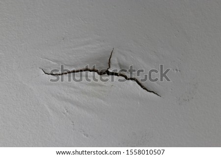 Shutterstock Puzzlepix