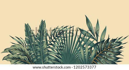 Image, Stock Photo Tropical fern background of jungle nature