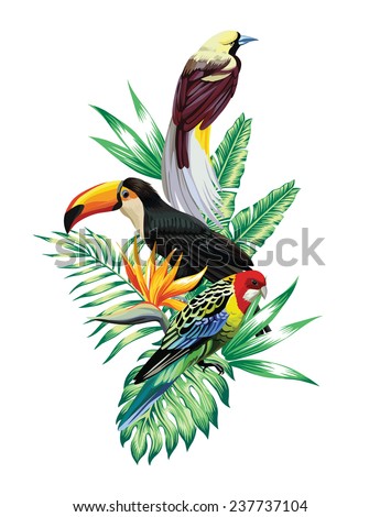 tropical birds composition